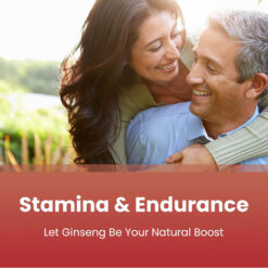 Alternative view of NutraChamps Korean Red Panax Ginseng Capsules (120 Capsules)